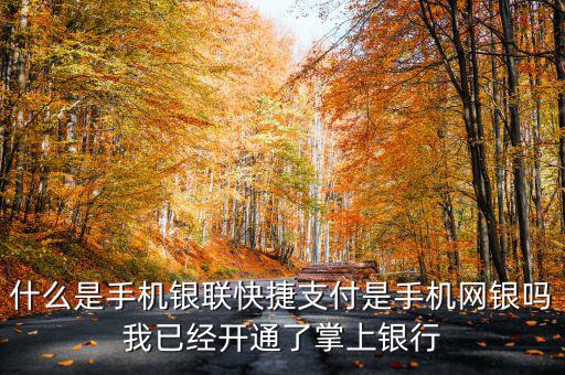 什么是手機(jī)銀聯(lián)快捷支付是手機(jī)網(wǎng)銀嗎我已經(jīng)開通了掌上銀行