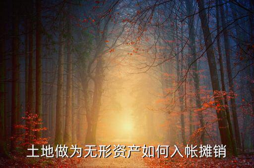 土地如何攤銷，土地做為無形資產(chǎn)如何入帳攤銷
