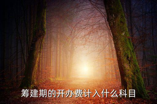 公司籌建期的費用計入什么科目，籌建期的開辦費計入什么科目
