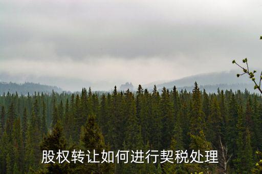股權轉讓如何進行契稅處理