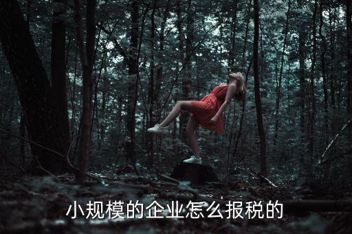 小規(guī)模納稅人如何申報，小規(guī)模增值稅申報流程
