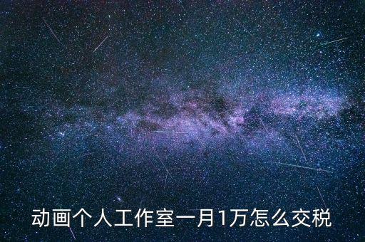 工作室如何繳納個稅，動畫個人工作室一月1萬怎么交稅
