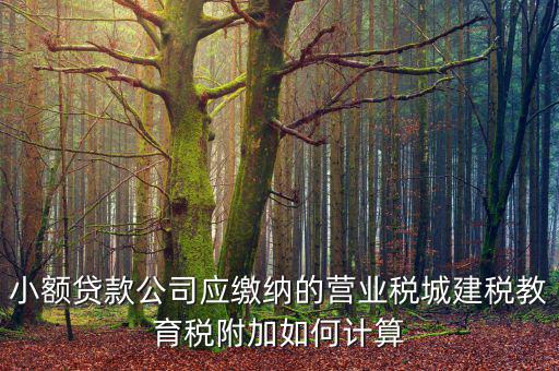 小額貸款公司如何繳稅，小額貸款公司的營(yíng)業(yè)稅怎么算 sitewenwensosocom