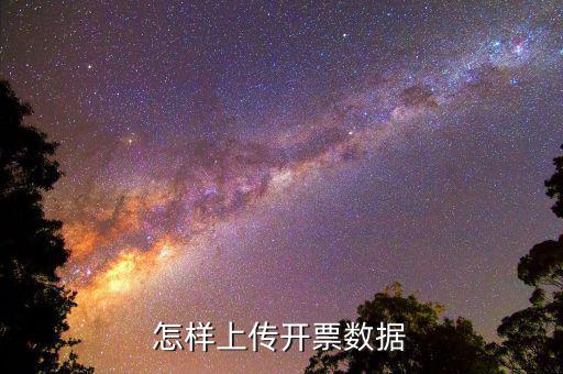 如何上傳進(jìn)項(xiàng)發(fā)票明細(xì)，怎樣上傳開票數(shù)據(jù)