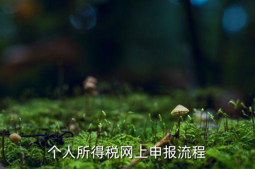 如何網上申請個稅，個人所得稅網上申報流程