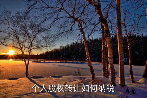 個人股權轉讓如何納稅