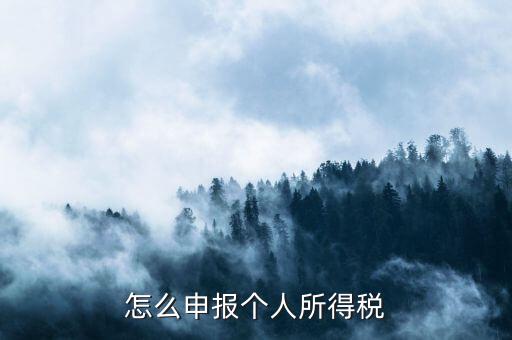 如何申報(bào)個(gè)人所得稅，怎么申報(bào)個(gè)人所得稅