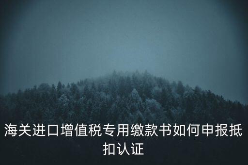 海關進口增值稅專用繳款書如何申報抵扣認證