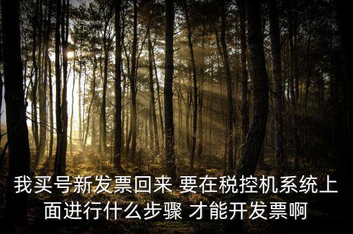 稅控系統(tǒng)如何開票，我買號新發(fā)票回來 要在稅控機(jī)系統(tǒng)上面進(jìn)行什么步驟 才能開發(fā)票啊