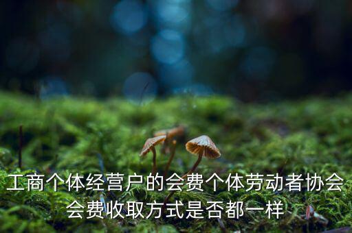 工商個體經(jīng)營戶的會費(fèi)個體勞動者協(xié)會會費(fèi)收取方式是否都一樣