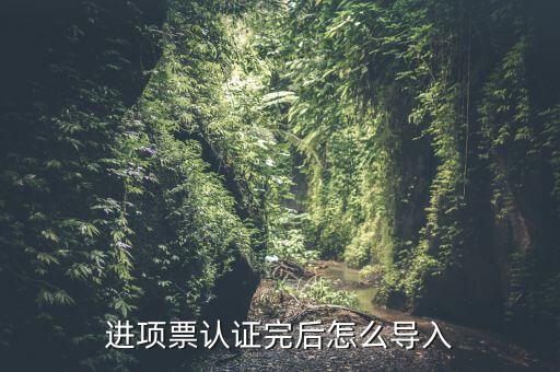 抵扣票如何認(rèn)證系統(tǒng)下載，增值稅發(fā)票怎樣自己認(rèn)證需要下載什么軟件什么步驟呢