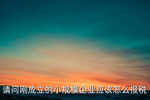 請問剛成立的小規(guī)模企業(yè)應該怎么報稅