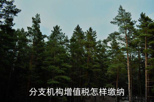 分支機構增值稅怎樣繳納