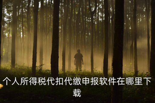 代扣代繳國稅如何申報(bào)系統(tǒng)下載，國稅增值稅小規(guī)模稅務(wù)電子申報(bào)軟件在哪里下載呢