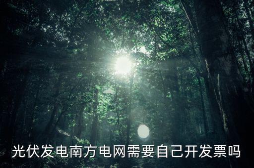 光伏發(fā)電南方電網需要自己開發(fā)票嗎