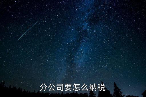 分支機構(gòu)如何納稅，分支機構(gòu)增值稅怎樣繳納