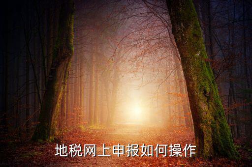地稅網上申報如何操作