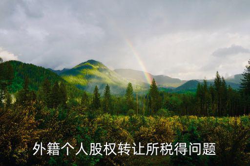 外籍個(gè)人股權(quán)轉(zhuǎn)讓所稅得問(wèn)題