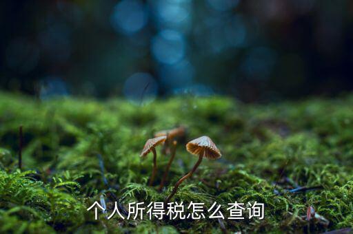 個人所得稅怎么查詢