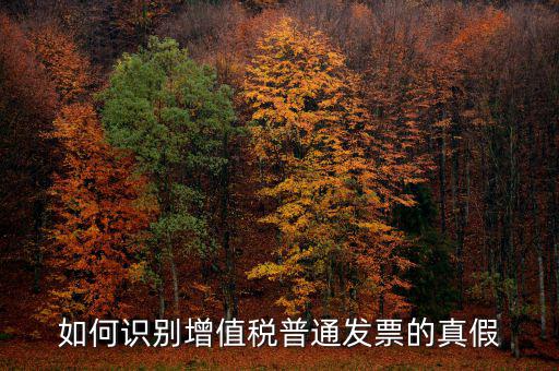 普票如何辨別真假，普通發(fā)票怎么查真?zhèn)?/></a></span><span id=