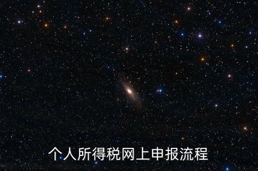 個人所得稅網(wǎng)上申報流程