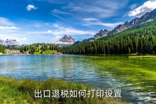 如何打印出口退稅備案表，出口退稅系統(tǒng)內(nèi)的增值稅申報表如何打印