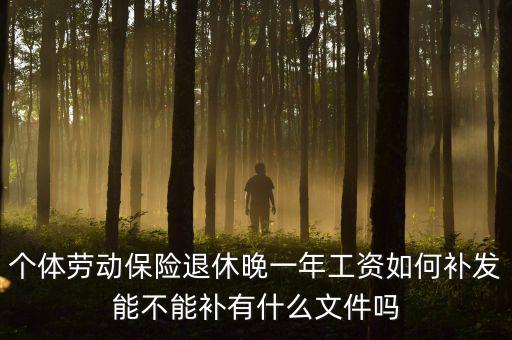 如何補(bǔ)發(fā)工資，個(gè)體勞動(dòng)保險(xiǎn)退休晚一年工資如何補(bǔ)發(fā)能不能補(bǔ)有什么文件嗎