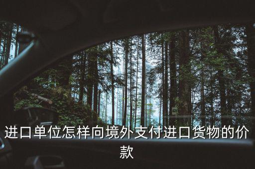 企業(yè)如何境外付款嗎，進(jìn)口單位怎樣向境外支付進(jìn)口貨物的價款