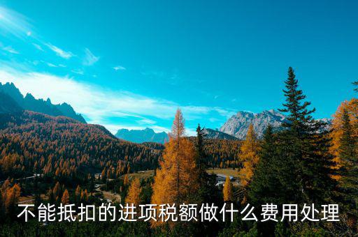 進項稅不讓抵扣后如何處理，不能抵扣的進項稅額做什么費用處理