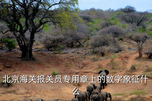 報關(guān)專用章數(shù)字是什么意思，報關(guān)專用章上面有一串數(shù)字是什么意思