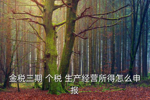 金稅三期 個(gè)稅 生產(chǎn)經(jīng)營所得怎么申報(bào)