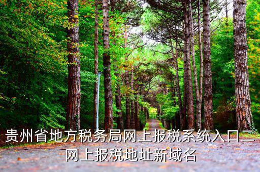 貴州地稅如何網(wǎng)上申報(bào)，貴州省地方稅務(wù)局網(wǎng)上報(bào)稅系統(tǒng)入口二網(wǎng)上報(bào)稅地址新域名