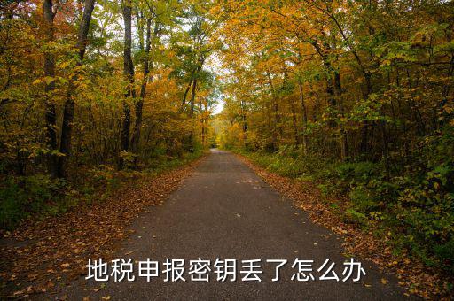 武漢地稅密鑰如何補辦，地稅報稅key掉了補辦需要什么手續(xù)要多少錢