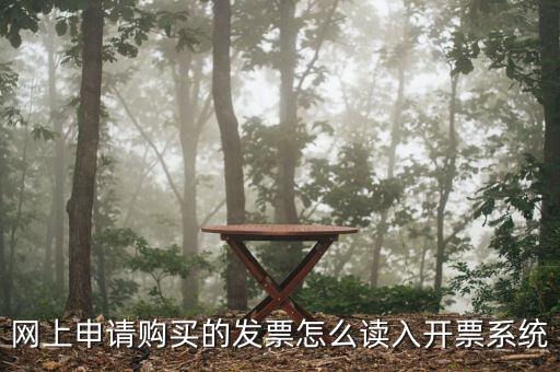 網(wǎng)上領(lǐng)票如何讀入，網(wǎng)上申請(qǐng)購(gòu)買(mǎi)的發(fā)票怎么讀入開(kāi)票系統(tǒng)