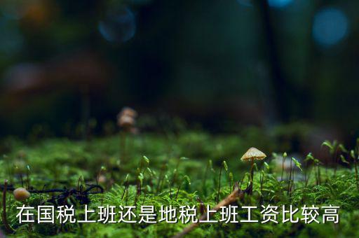 地稅局發(fā)展如何，我要考天津稅務(wù)局想問市區(qū)各地稅局和濱海地稅一分局哪個(gè)好呢