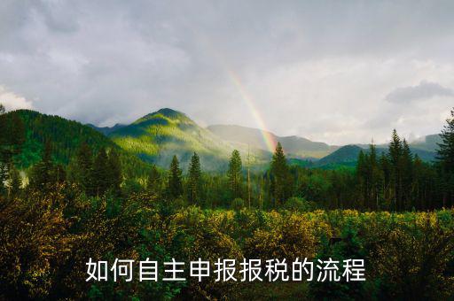 如何進(jìn)行稅務(wù)申報(bào)，個(gè)體戶如何申報(bào)稅