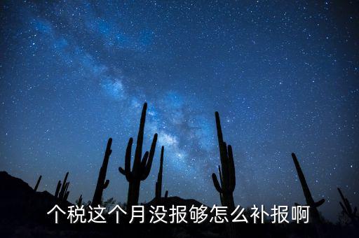 如何補報個人所得稅，個人所得稅報錯了怎么補報