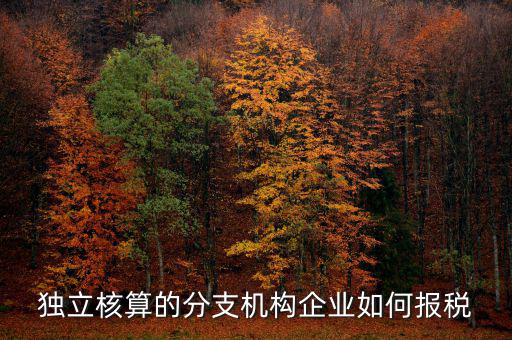 獨立核算的分支機構(gòu)企業(yè)如何報稅