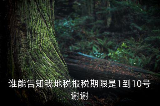 地稅的報稅期是什么時候，地稅中的年度財務報表申報期限是什么時候