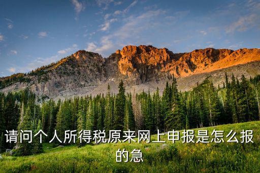 個人所得稅如何網(wǎng)上申報，個人所得稅網(wǎng)上申報流程