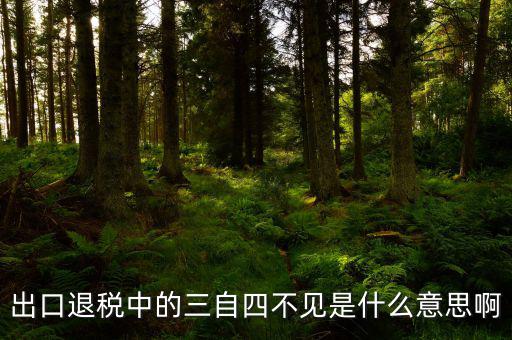 出口退稅中的三自四不見是什么意思啊