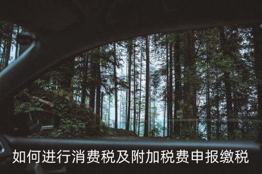 附加稅如何才能申報(bào)，如何進(jìn)行消費(fèi)稅及附加稅費(fèi)申報(bào)繳稅