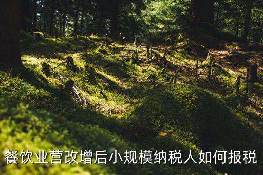 餐飲業(yè)營改增后小規(guī)模納稅人如何報(bào)稅
