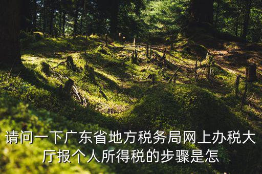 廣州地稅如何網(wǎng)上申報，想請教如何辦理廣州地稅網(wǎng)上申報