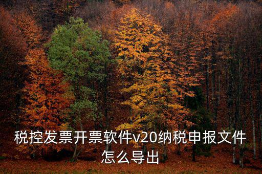 稅控發(fā)票開(kāi)票軟件v20納稅申報(bào)文件怎么導(dǎo)出