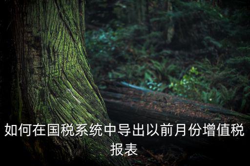 如何導(dǎo)出增值稅申報(bào)表，如何在國(guó)稅系統(tǒng)中導(dǎo)出以前月份增值稅報(bào)表