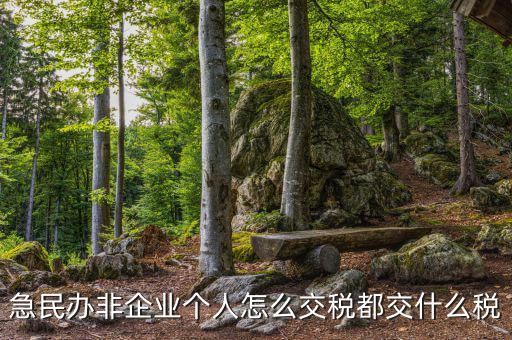 民非企業(yè)如何納稅申報，民辦非企業(yè)單位如何繳納個人所得稅