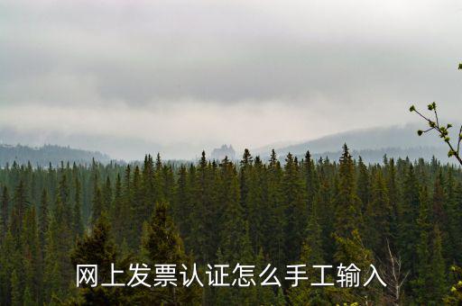 網(wǎng)上發(fā)票認證怎么手工輸入