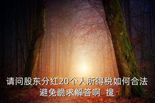 請問股東分紅20個(gè)人所得稅如何合法避免跪求解答啊  搜