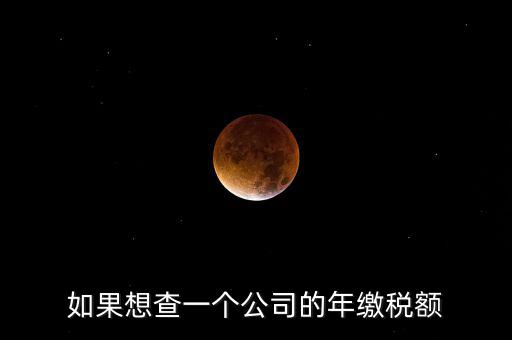 如果想查一個(gè)公司的年繳稅額